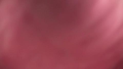 22361