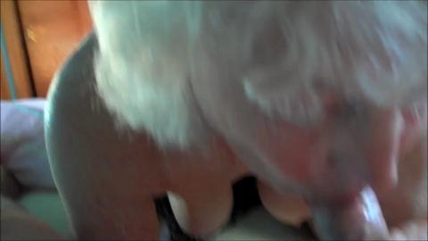 3156