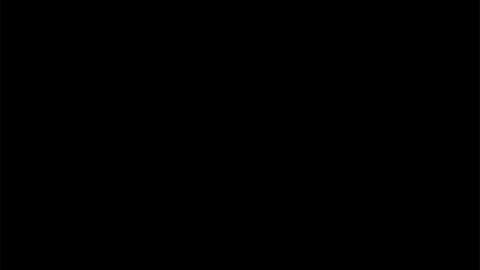 16318