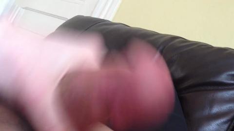 31798