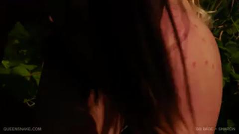 26884