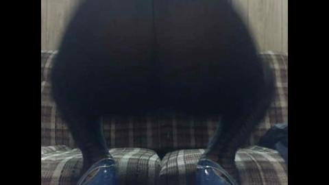 29115